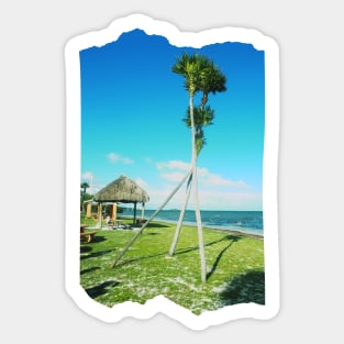 Palm tree photo Key West Florida blue sky palmtree landscape USA nature lovers Sticker